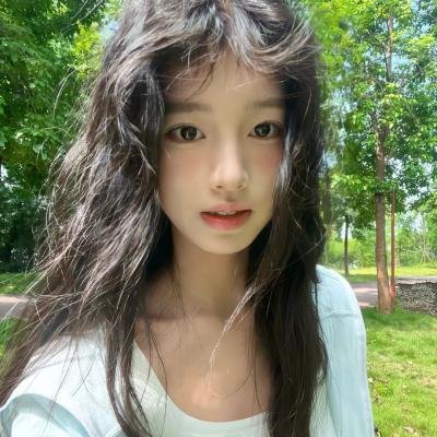 完美计划