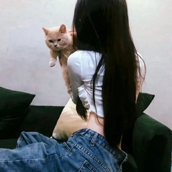 愤怒的牦牛